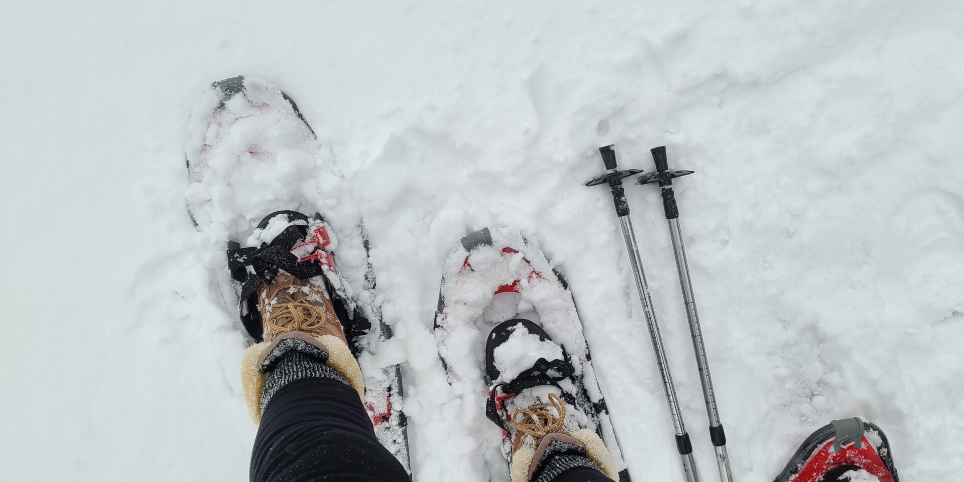 Snowshoes And Ski Poles In Deep Snow; Cold Weather And Travel Destinations; Winter Sports, Stay Active In Winter